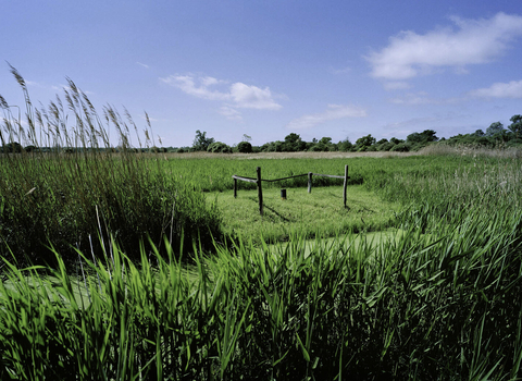 Great Fen Project