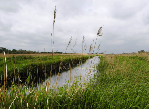 Great Fen Project