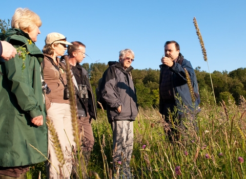 Wildflower walk