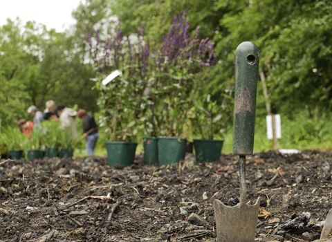 Community garden