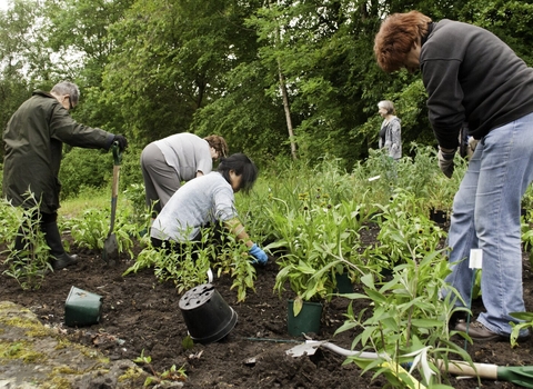 Community Gardening