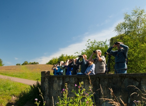 Guided walk